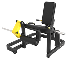 D965 Seated Leg Extention