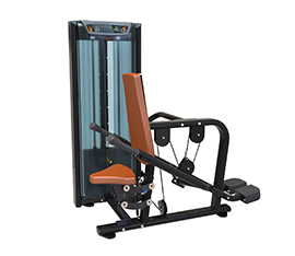 FU08 Triceps Press