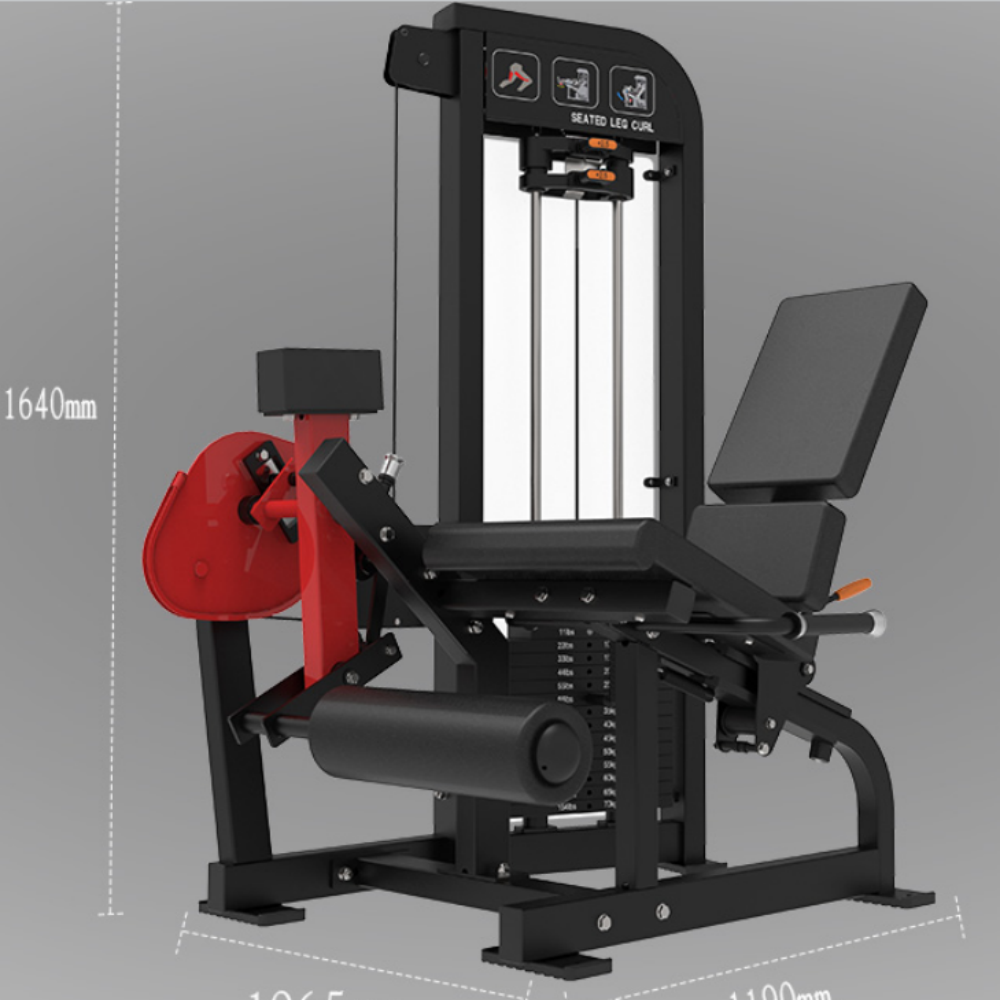 FM13 seated leg extension